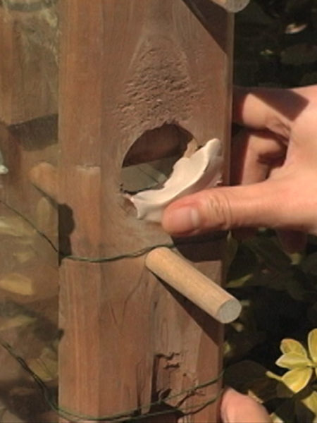 PC-Lumber Birdhouse Repair